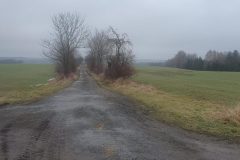 20230212_103340-rotated