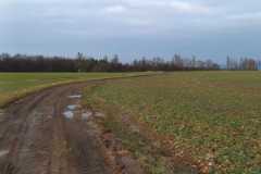 IMG-20230222-WA0047
